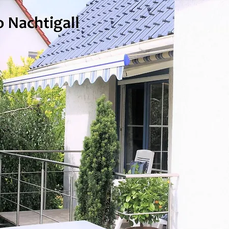 Amsel Und Nachtigall Haus Vogelhochzeit Lübbenau