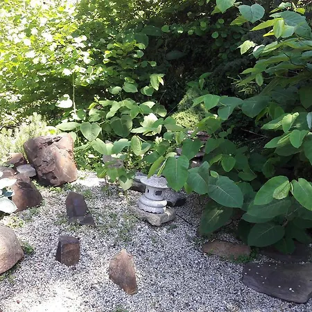 Apartment Amsel Und Nachtigall Haus Vogelhochzeit *