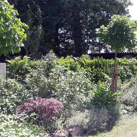 Amsel Und Nachtigall Haus Vogelhochzeit Lübbenau