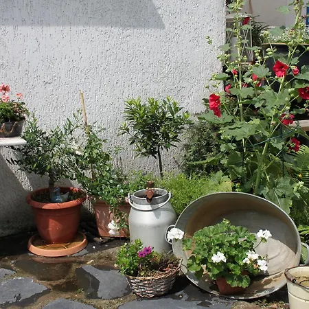 Amsel Und Nachtigall Haus Vogelhochzeit Apartment Lübbenau